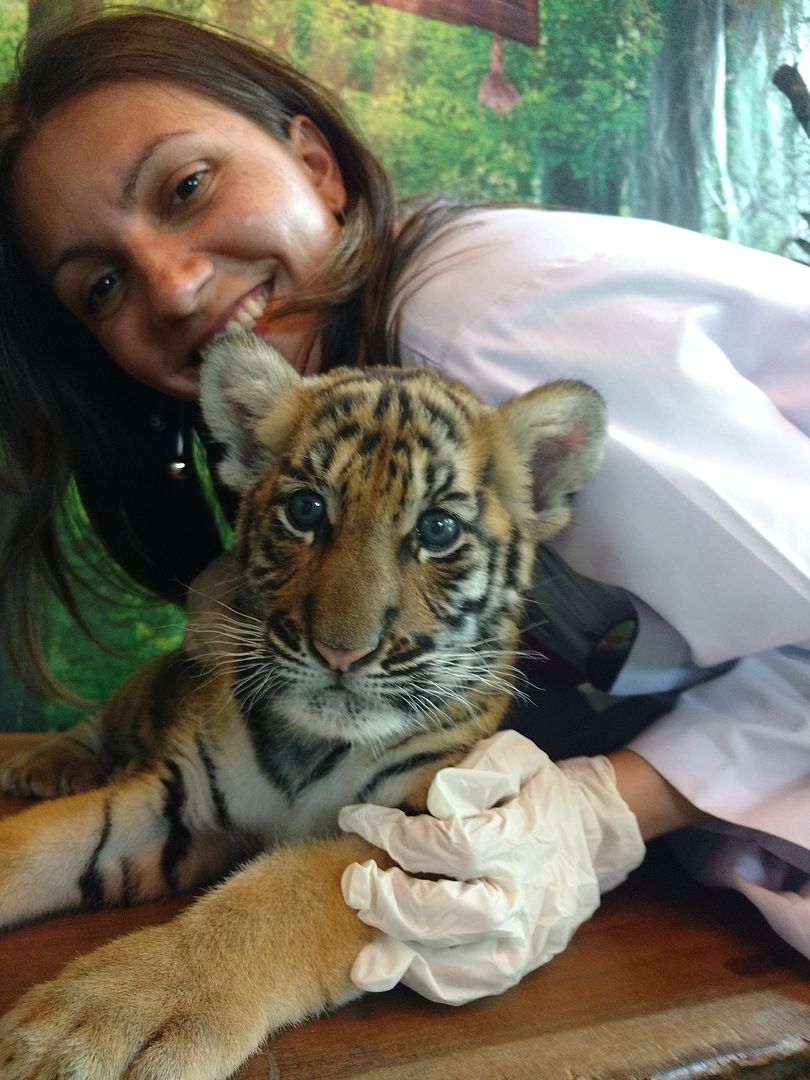 IMG_20160411_144344032?async&rand=0.7871804627895826