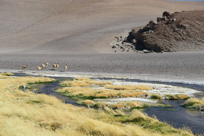 img_1312_zps95gzwsob