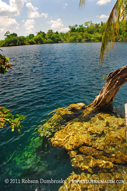 cenote-azul-bacalar.jpg