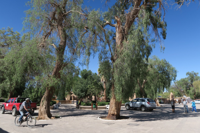 img_1383_zpshkdfulh1