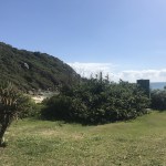 IMG_8401.jpg?resize=150%2C150