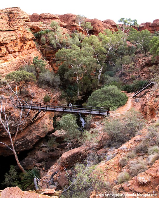 IMG_5700%25255B7%25255D.jpg?imgmax=800