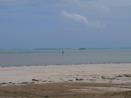 p1010151.jpg?w=448&h=336