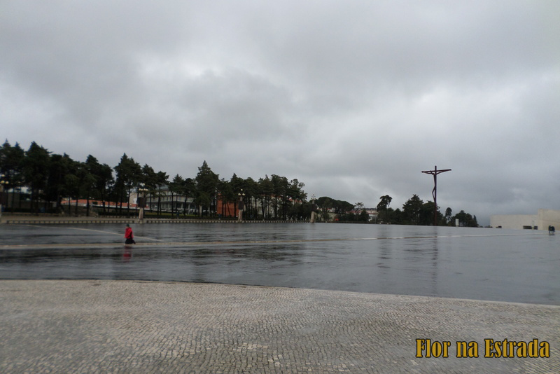 sam_2110.jpg?w=1000&h=&crop=1