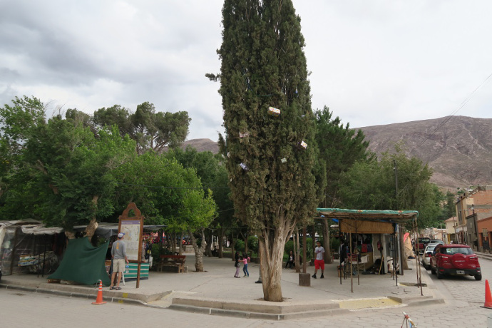 img_1092_zps8rdfwyqt