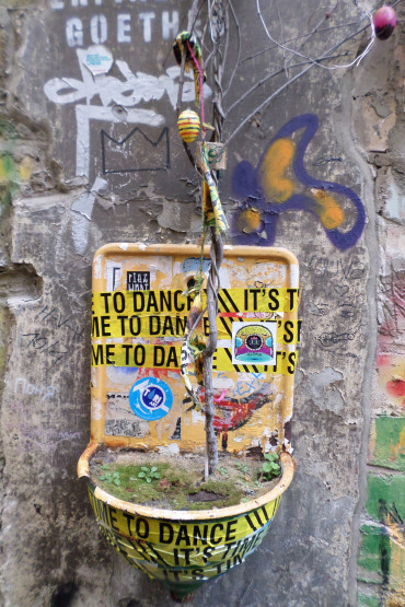 sam_1663.jpg?w=370&h=&crop=1