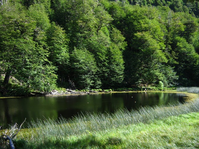 QDPcEbWmiLYqoCK0A-X5I4MyekMbfSxOrKBSQ2kgqFZccDwy5a-TYiLQw_KaanInk7P_8imHxBFVAgj11fb3SdFo08VmZzC4oy0kV2QOzgGX3t76iKEtf5P3BtWmXTNRL4-CgoK1bKHDc2gbCGHN3QpocFGmONUchUjlO8bQ0VM1OLAjRVTsthLT0Hxf2TWMptZhjCQJyIwV1-3MA2zirPxvTXorv25A30wCGo_EMnVsN007sgLOSXuDPC9UF4dDi5rLpuzIJ6bR0GomOQw_HSreDZ8oEZw_07W5s-aTjm_KgtNZsDK4tToyjgedwh73kkdWAFIUg-ryjpC_bjbExDqT4DZsbE99yxgL-3nY6ofGywzCFoPTQlk07FobSaeysIx218NUSxordWnherWZiMEEgAi6HT5OOj6gCsSFfrFMOFQYEcpiW0DUT3teJx-lchhdd2H7PABi6DsK0RKo2nawPD5edgb2MMDe2AVe4QK8bJU-3gVXSyaksk-Q84NdnrAe-xk5b0-CCNfZZ_iMCDR3DhKx00VkdLYaa10wKV07x81dnVdG0xlYA2QKuIJg2x04Thk9otJl5Ci_kAaDFs-XoVq0UX8yGDpyP1vc=w839-h629-no