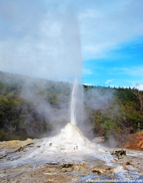 IMG_6942%25255B5%25255D.jpg?imgmax=800