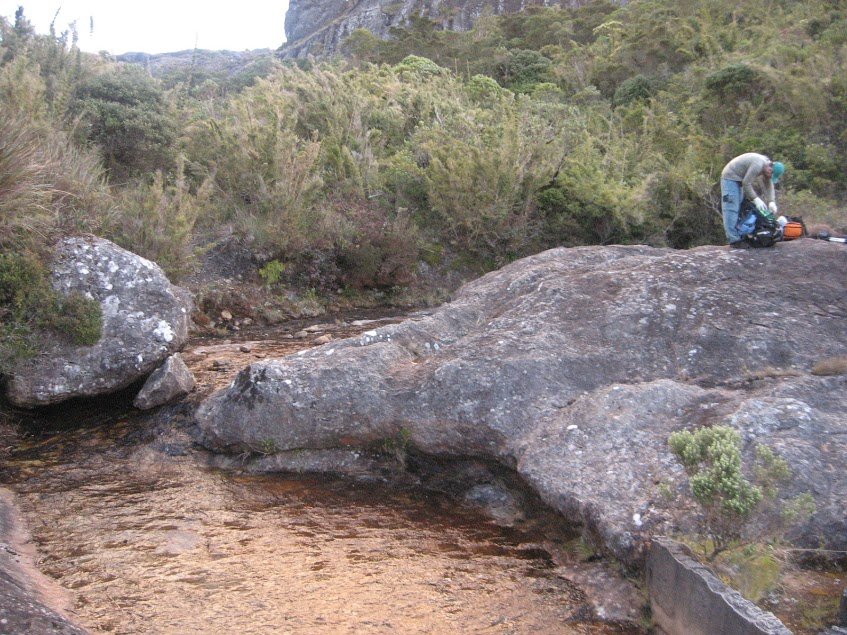 2U-pWBLWMvH7jNpA_UwqS8wEAhJjtH4YIeMwOUab