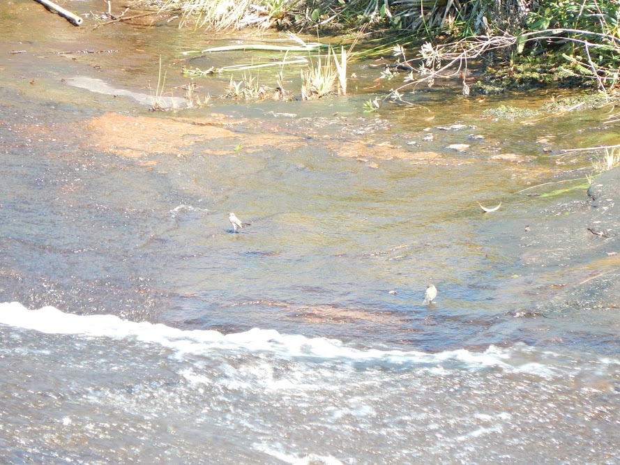 tn07H5iR7BSz21xOKnjWjTbsyBW8PBKkTQXYU5p2T-_O042l9vVFGfT7nPfS8PqzzoGlel79CmHZF99yw3CWs2kHDTskhSclgoVfZO3juko2pueWV5PB6a5h2AQrS1_johxwSrhuuOrNO_ksFNvZw-Unj_xn9qC1ABxHNJX572PuDHfd6LNVxpV57D5OYHHLEKlIcy-KK2227xgPzX-4N2X6UYYdDd9aRQWNK9K3xobFAi8YMGUbJvCt4FnqY5LNFCxnDjWzNaad9Sl67_ldYtSC0TEp8Ad8aVJYS04T4Tao8oXVrExln56Im8Gmdmx3zF4tn0z-ZyjhPF2eZJhGGE5XsYhoJ1gbglfwJw3GUxxiSlin7ua_ex67UbsYSTKvsprKyJap5xpkyBDbyQVFbk3uR5gSvh6dRinLiyCry5eInO62bdTRY6QC4Mdv4qy7SK1v1N-5W98w99SeDSe7CoiMJ03b70dMDkSroPrCR5rsPE7Ma3raphckV9kMYKgj0dDtje1VgGwL4wtTkwroyAHe1_dRffJbnSHvu3zjA9lD40dGp8g3vSpH7FzCwPpkzWgG=w890-h667-no