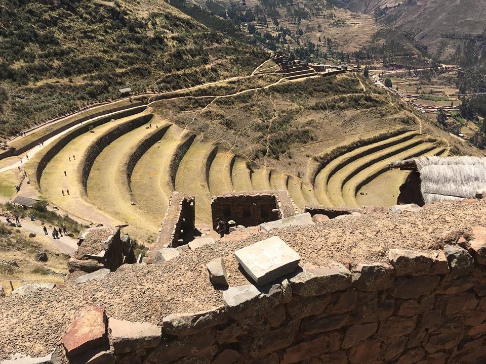 41873089_10216573771433303_3811853178224