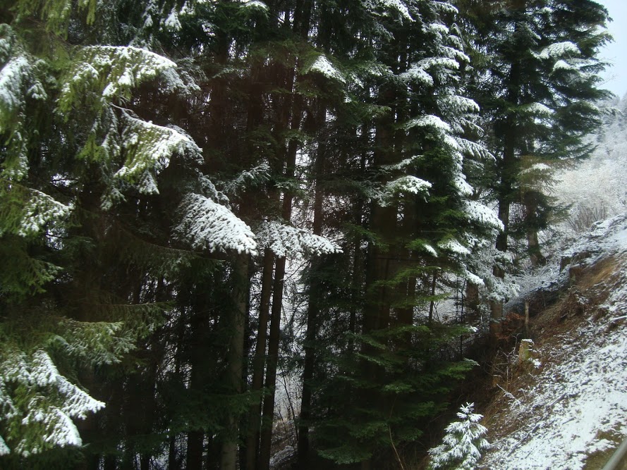 AfWWeTziaxRGzfKpSZr1EEOrjUcsutguZVPotWMVO6k=w890-h667-no