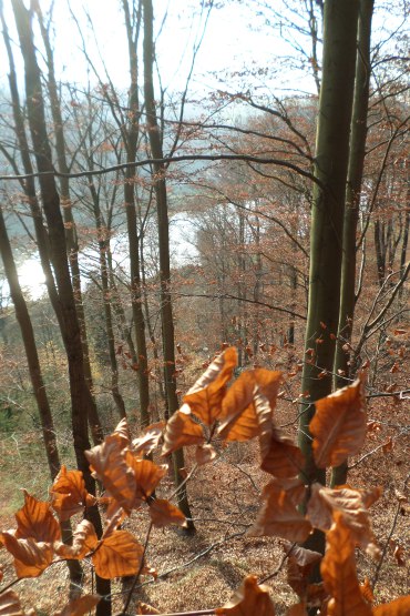 sam_1566.jpg?w=370&h=&crop=1