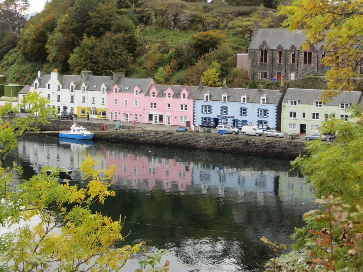 IMG-482.jpg?resize=1200%2C900