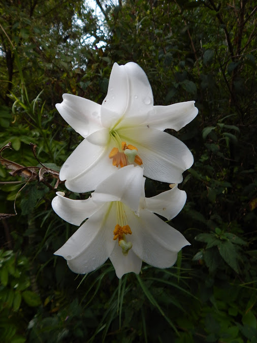 s9vbmelOca4T8GZzrfAgK1y4jBW_EyWRIZJxQfw7