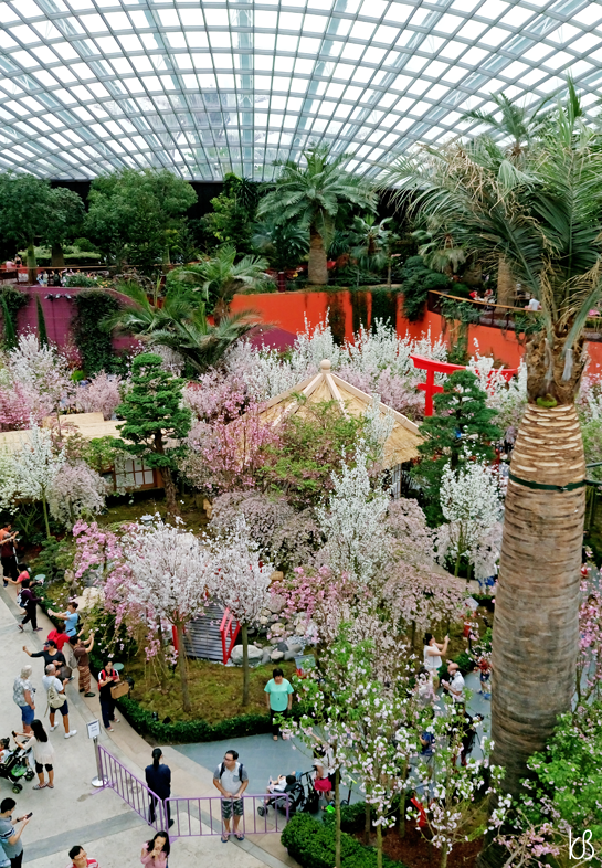 DSC_0821%25255B5%25255D.png?imgmax=800