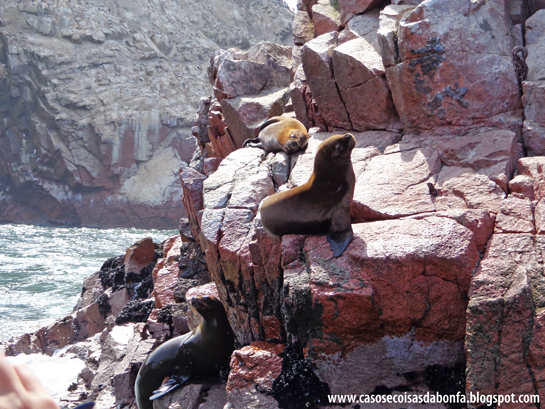 DSC07522%25255B2%25255D.png?imgmax=800