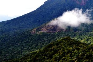 morretes-curitiba-parana-trem-17.jpg?fit