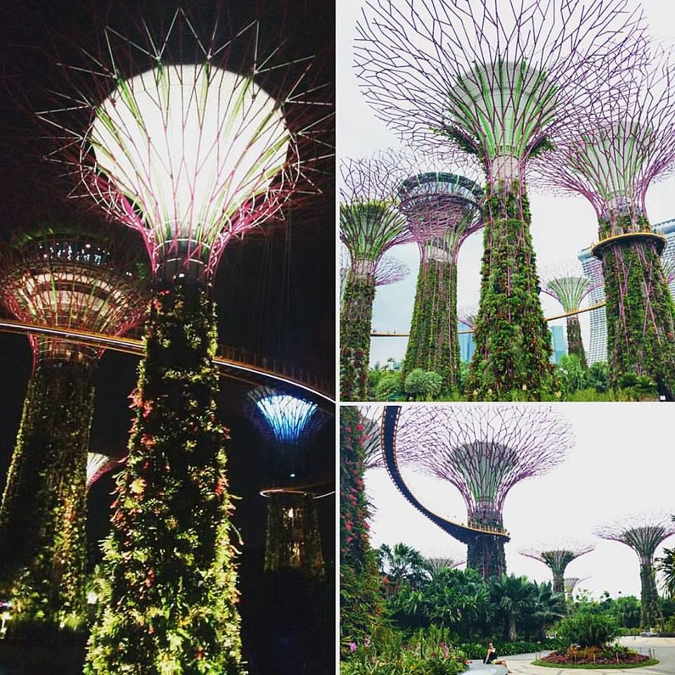 44_online?async&rand=0.5054829868299306