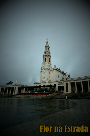 sam_2095.jpg?w=370&h=&crop=1