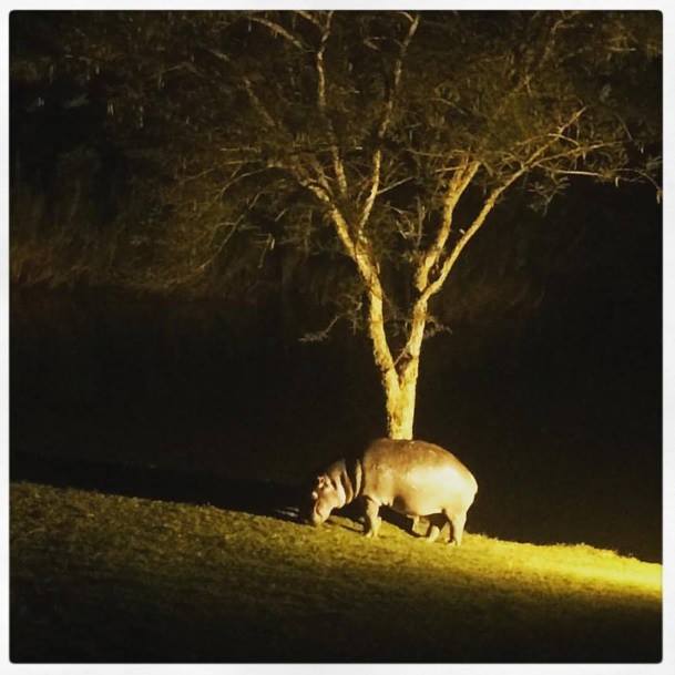 17796788_10211762868123727_6603953103885137907_n.jpg?oh=b71bc69d1ac1f400e5c6dec8ce7a96fc&oe=59955598