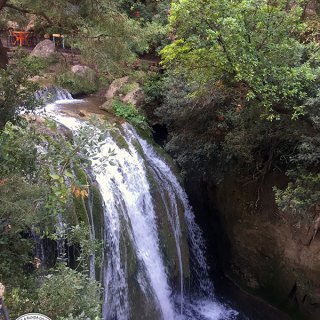 akchour-2.jpg?resize=320%2C320