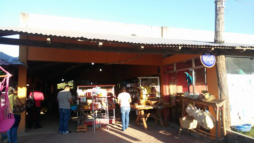 19665450_1592972474086556_25644400707097