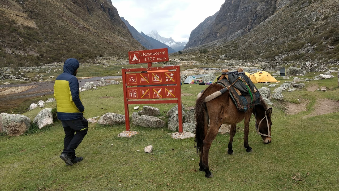 -72aOdBwleR8TOYDdqa84eMLnNGxggnJJB2ZLha2Ny3Kt4GVKetG6MANP_fxA93IEuWN21H7Nl4PiZONxHDbIJqNCRQAJCxxABILRW8h-DN0QKO7JBHwP-RUoJSAF7GsMuYoT0nAu8ypVcB5oLtTs23U7yGEiKR9MJt_E_dsHGCfd742O-3JlG9CtSxl3AQs53bS8M_hl032u5D4xLeTiDNJFl5xhc1drlXAxPfh-uy0va4bw6cSCBIcTjBOu4Z-H7jbUdtFz1wseScDVOJVESoF_5ivm00WuRFAIWeWAUvYzIrYw8NAHlKzPLRAcKXLqUER90cppROBzfneVoYeswpneB616PyWB9LI7rzoT1o1CNwbpwGkh3rbzJbmVCzMFDxrUutKmp8RhnhI7z01SmhWyY-9zLyem0apMF8xuI6WCZ00J0RvLvSippTyQ8sHViCjCYStM7JtVHiB5bs6GUyAjVp71dPeGplVXIS6BSAQYOMrC1Zm9vVKIKyG11cIc-_U6wnhiLcT6wPlcauQFnjmA6A8rM7UeRmj-EVRR162jZ70O1ar1bYtA_AARSeKzDxR7maX8ijoW_iqJZTyFU90lqg2KajvmWVnt6Rewno=w1435-h808-no