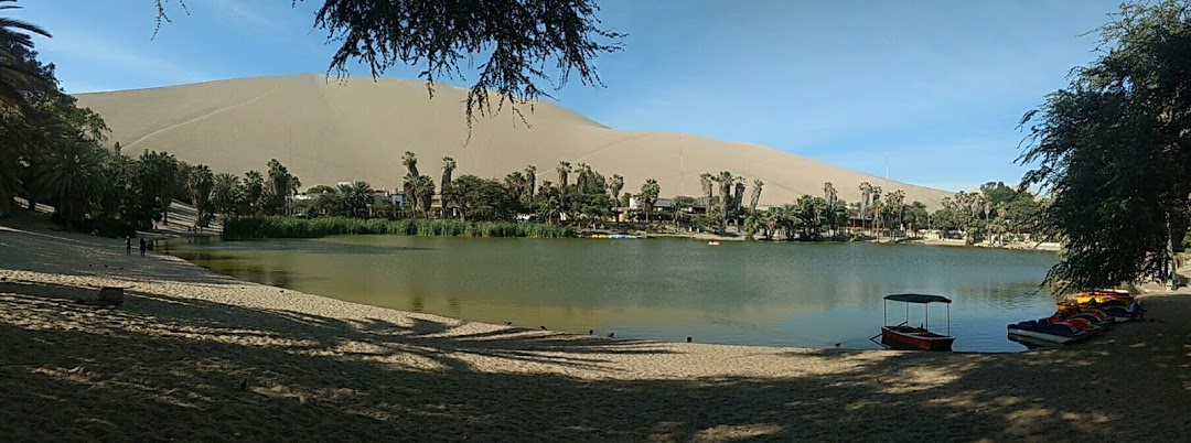 nlSuWDS0piQ_6qJvYzBuNbgXqtZZiig62ksfhNH6cczp-hDunK8l1KD2qIq9bhg6cAaSYX7mg-C4mJFzEJr4sLEzAE3Mu3jjAI0R-SVZ_TUxKKl6t2HyN4QECXN91P6hV6T-jwGpYxhOydmuXQx3XF44ZTc4CVCO0B-38Frbvs5wLM9zdv1qgM2i-sVPRC1OmSa_aFzwujPclW0GJdemWk1c2s7Ul_ee2CMqXb1f559ybv38eENpxtYoLhsyLR9ibV9QdLKJP4jgz7HvVGfNhbm9aToqzpEtn3Yb2O3tyUsK81-0wvkL0ZxFxuZ-0a2ELZDfTFqDct9UGkJ9vivG6ynV6pWHg-0afThb9ufSGxN71HoTbeT4a8VMXZeBmASNbS7biwZtO6ltZANDFLxdFMUDQv8BotcPRd_I9R0qzv3kKB6O1NVVxqiU6p7WaM9-_sfkROOgkWaLigY-f6G1Iew_hnfsTTlTxYVt32n7N7CZ047Zpe-dtfh4apyno7zBbL73iOfSb3hSuYOR6Y0_RV1Rj6PqpVydpPk9tZ25S_Xb7opx8xRg6ky5bqIsv5T2j9GXO5PpN5ys75v2U4KWN8Vy1dnh5O1vaTyOGeBZFztM5uAvhdqDo5BJ87tS9W2t6Q0FFlfCdUJqMpuPZdeCCOFoVUX-OmhQ2u7U=w1080-h402-no