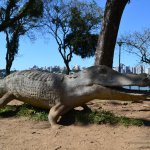 3-Curitiba-Parques-Opera-Tingui-Tangua-B