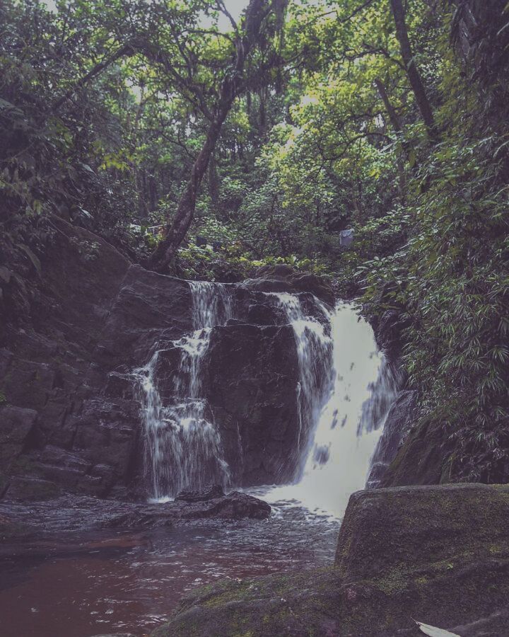 16114715_1560037220691837_4924503182319807721_n.jpg?oh=b0b4a88670f6fc78e5d4d76caf93435c&oe=59A198E8