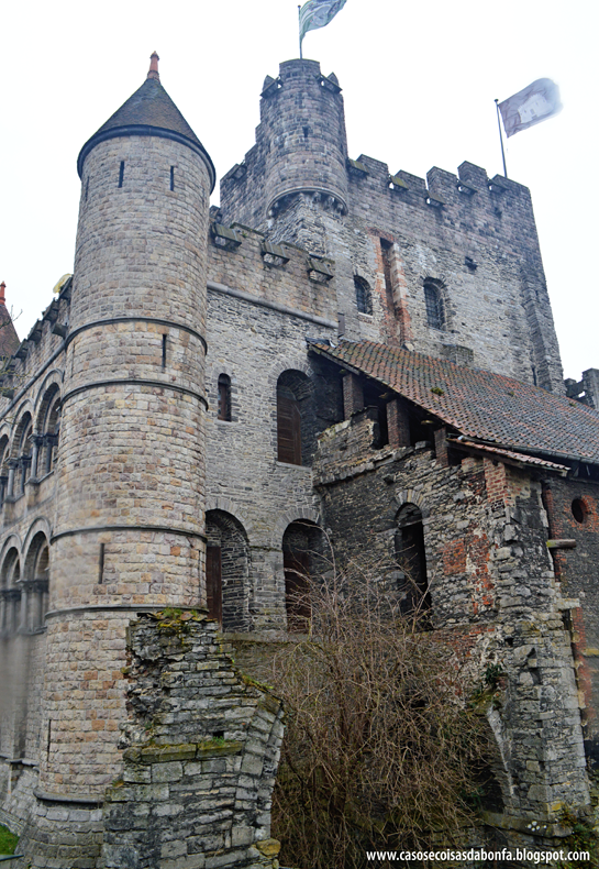 DSC_017625%25255B2%25255D.png?imgmax=800