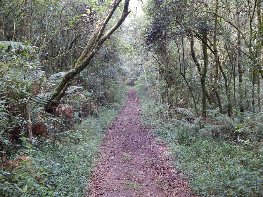 TsoVkd3mu8LUeB1YTg8o38q-HWzxK8h0fsz76iWG