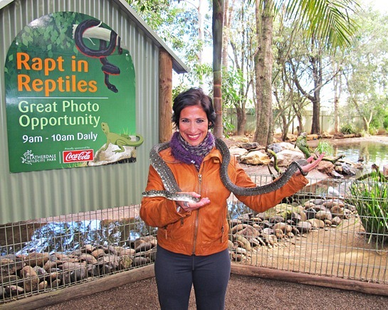 IMG_4506%25255B3%25255D.jpg?imgmax=800