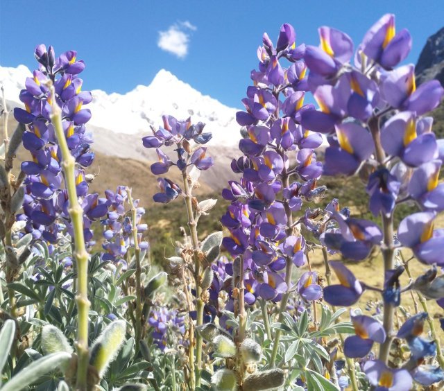 P_20180829_094800_vHDR_Auto-1.jpg?resize