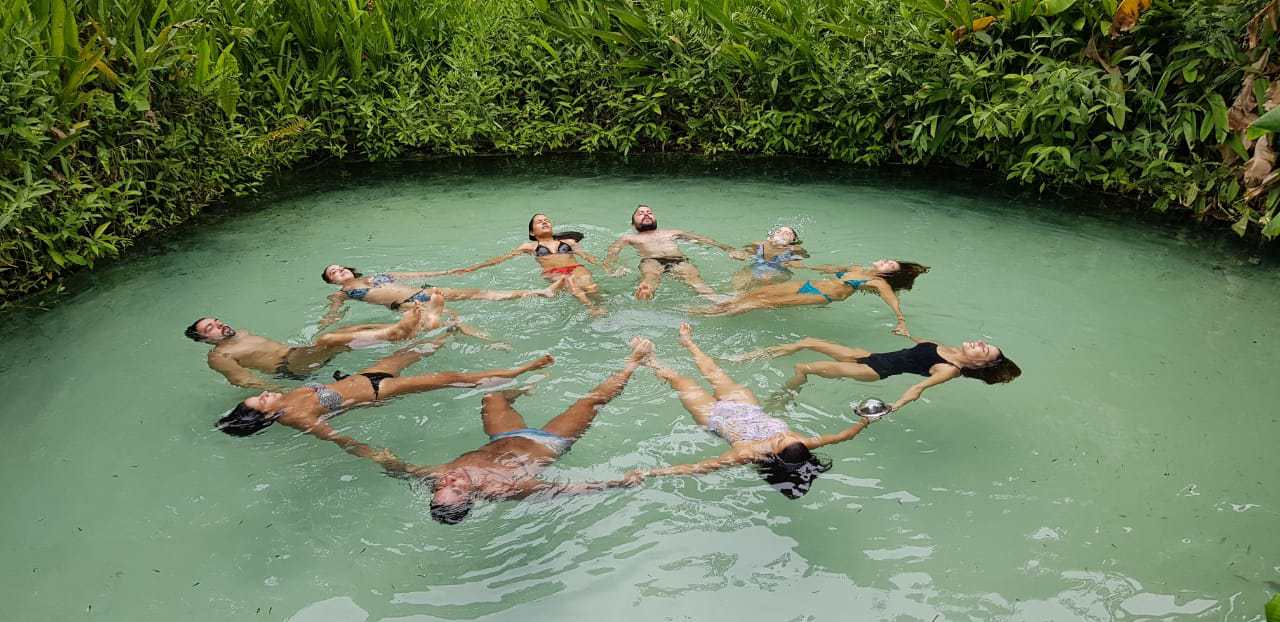 88a6d2e2-9418-4dd4-8cbd-33e6f4512288