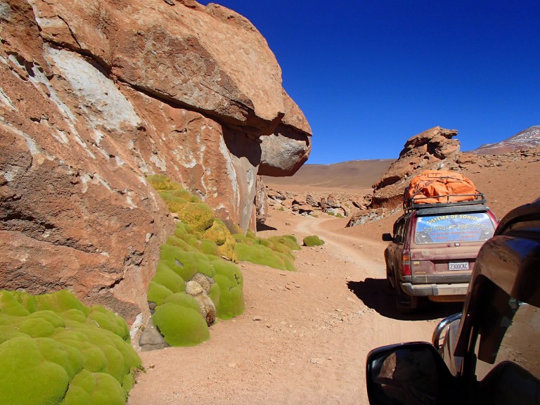 p4230154.jpg?resize=768%2C576