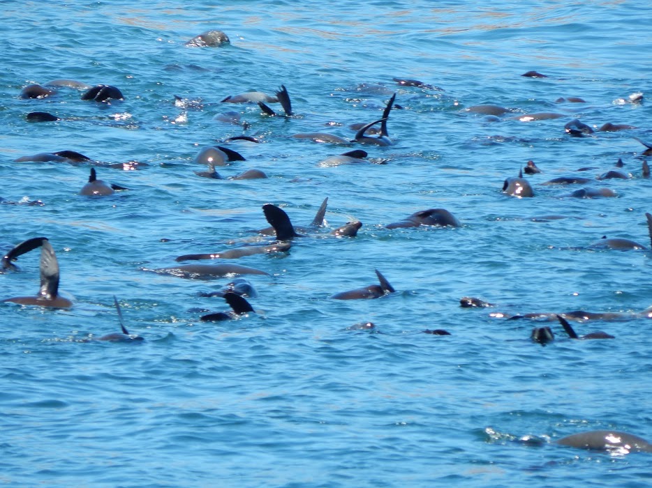 hnMZcxGW12T2xw7QHvCtyy9j2d8gt6ihHiguqdrJRWPsmEy942XLUX5UIIebysQOA9yHozERktFthk8QCD7A_zl1JO7lw6vGqO6aH9E8QDranYxw2L-uZSv2tSjgZoQUE1tro7q42YnjLN9COrFgoS9HtJ2fhEFsUQIEc8zGRxs-6_YebSqFhSZoBzQsVFlWjdA2fc9lGxtf8EIEBOsjdpTrNpEeIjDJFtkImhBPk0_bxhXaEEiPK9qoO1ZbFsYGHnAhAoxSZUW7OU4ZFNjLl9OyeDoKC_MLcfvbLcrydrRFfS6FiKobjg3_jn5QvHC0NQwGa7O2oXmp8PmAoPuHL7VFwGzKxez27aAVuZ7zN9bIZgSgmbNVFJ0uvXe8YSx8vb4bW8wL6DUsD_IArM0uah2I5w8sbv9491o-B5oG-MUHqB2Hp3C737jVIUOfuAAyNTgb2iU-T92mjBtGfXtUj2_cOZ5owBlgV0TD065yqszVQFh_m-kAeyYzml27LbdQDnq7O8KSiJ8l7_V7KG_ZergPp9LYTtnhrR6di9aQObwArwVG44HUoSvtiRdOsxMEC6-LQ58kBaVNek1XXoM8JmSHtJGguT7A6G7wFFV8RjIDXAFvXws1=w934-h700-no