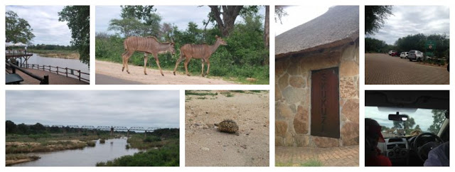 Kruger Safari Park
