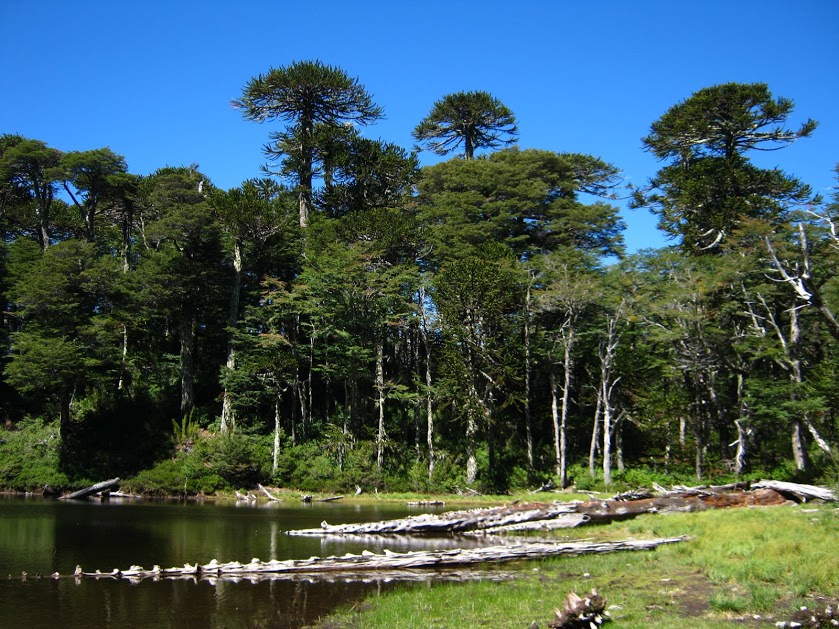 fe3DWD30hQuFjx-96TNsxFofsRyyxvvgn3bR0_wRNG4cQZ3wtjSdQnvw0cvufcAjoM2KfHRP19-7yhD7zEAjFgDmTAyexpJaMM_ObpO0_4S7q-RKpaKsp80LCpR1r8WZqppgXqw-LfumUX8R-VwdyMWGCElBD2B1xu1dxCdayYkonTlHmdLffn8UrhWUMSxyt3EM2AT9UWS_tc-gq2aDzF7EAdIXiMt5UANlX7DkHM9MJ2vQmFwaAzKatIMpkJRMJofrvhXYnn1o0HKP61MSVab9mB73x2sdYPHiOBnhpatzXmBFNOyZ8VIbNikDMwU2Qqy_VA3bnHgl-4r9mRqofeH51wc8yoPHbu6kP-ksvND70XGjlUGP3LpO3jTNPRwBqoxRY9aC_ren5o-2iVPaUna_kFcz0hupylF1uNbzAulDy0Kzli2ufYeY0PraZNKdczcjPEacP65PrPxY_zZYHojlgNjK7CTmG63_hA0N6UL5FNmO-wFWGmpcFFNQ9pIozfYhW1kVz72DGZA7sVxkCsokOyVeM98ypPlj4ig0_NrAiikQV19Jf72l16Wh5G3T2ahME3RWP0S22vUC2_A_Vmr91Oh6woXGjvRZomnL=w839-h629-no