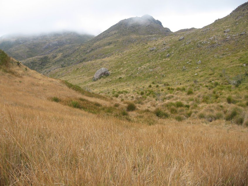 oxLWKq9Qb-bNRRzAcFvEiYkPZ8OyFPvZORCQBIpl