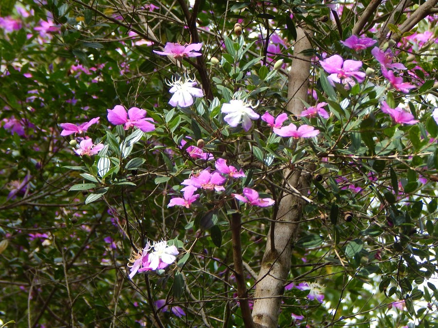 yFqugh1leAqV_0IgKPTv3GMIwcCJl15jEcix6fp4