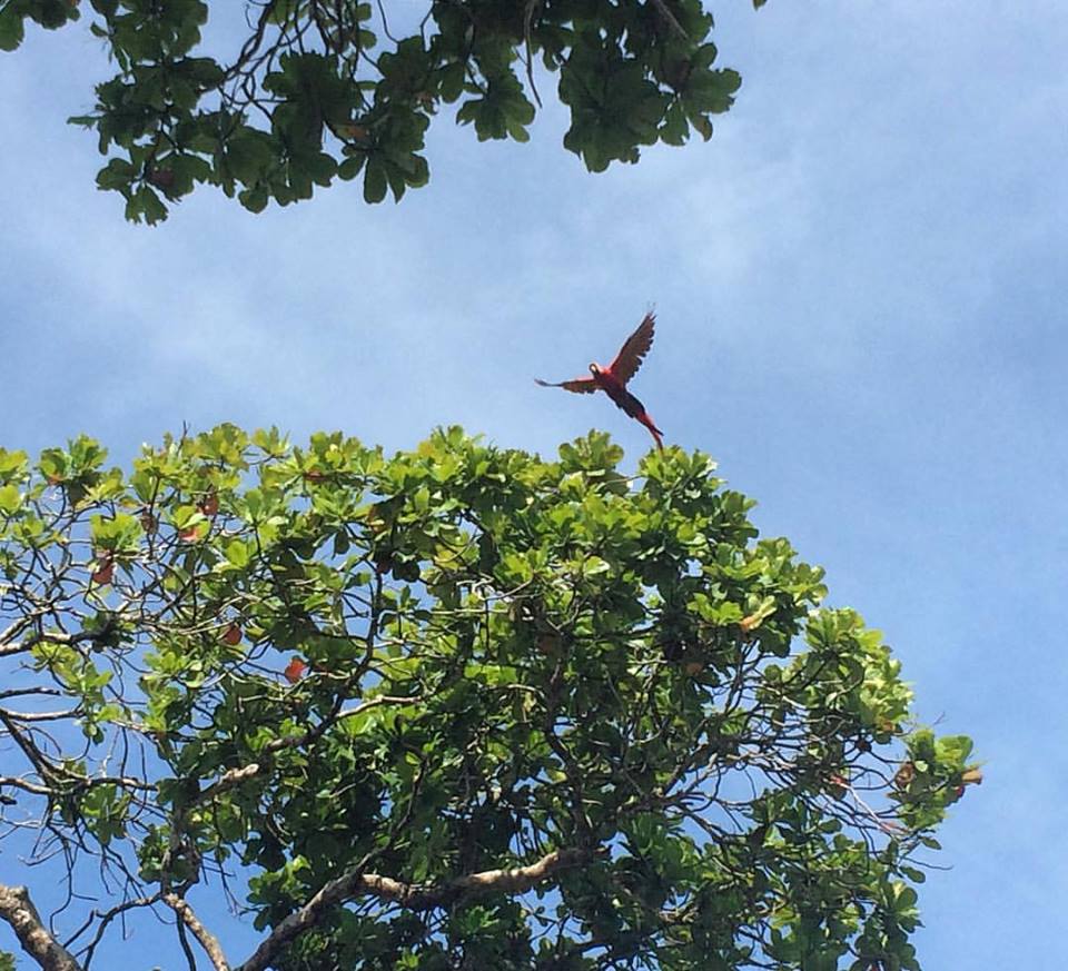 19748548_1390714901021598_627915910461704157_n.jpg?oh=622e4f3bf119be619a0e37d5165a16b6&oe=59F8FB99