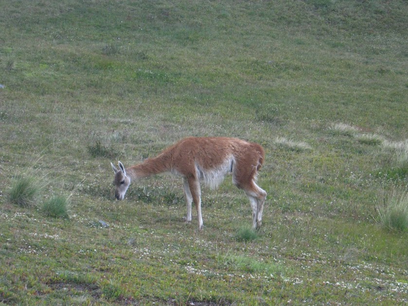 1tBnN_Y59kkJPiHLYdjxJR1usB85gw_K_LKpPb_18cR_c8y1-S4O4eDHLHGR-lfKPDNqb5te1OmP9jxuoVzPkLB5uTeKFT8VgH03qMMBq__n5GtT-TUoYxtjhASD2LO5Lp2Fvqwzg0fDx6nTMg5sOuuakUPMJdMY_qJnLtcwJW4_Mtbh0I3fk9pxIRfdJn2rjKZJkXIYgTd8ExSjh_CSulITE8iKicmkldIp9H9GH_hDPTUNM0unR4-onwWWYs7ToeZZYpZyaUcssw9JXRqnq0AtFoYurr5uhWPtIzdDnPvbQ8Z-7Ti77S0d93WSZBPTUb58nTz7f2p18Pi6G-J5UHa6-nkRBGhqncKcqOaxe2OUGrPQCdjxX7IRoSPC0LyAXytTJ_zjnBhDyHG51bECfAto7BEAm9SHSadXnWuw9K9LGMQ4JJ_PQ9X9Xq6PXghy-WKgIAqRnWpPV62lT628awBgQSxewErf3DAFuEdFtVoK2eyFj9Yw9OTRK0mbxc9hbnVv3mBoaBVeay042l2vEZNi-3FBggRfOVynQCTrtsMQtHIAR8MsMLRt19YkUGYGS882RWMW5-xnkytEezSOsTl_akij70dw3SlGFOrI=w839-h629-no