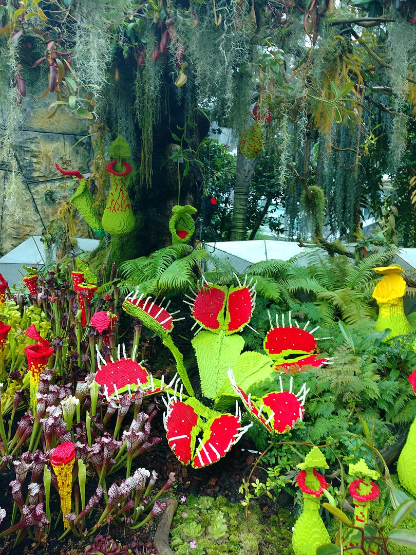 46_online?async&rand=0.8222635494523003