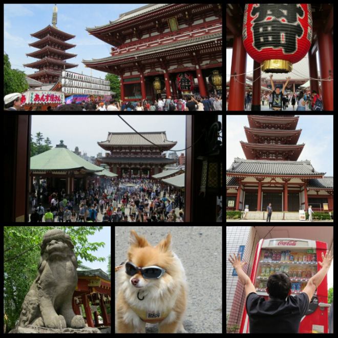 PhotoGrid_1438897550907