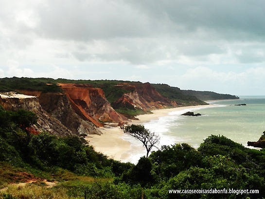 DSC07895%25255B5%25255D.jpg?imgmax=800