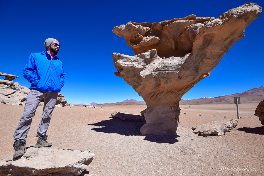 ba69ee06fb38009e4fc461ff58ef11d5