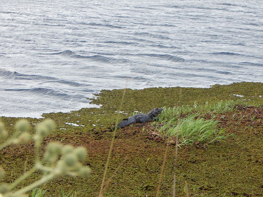 zjH9YTp8X3hpH5tEm1oWFh7H9bPC7wyvsvh2oAi7vShahnsaQAHFezmwvmff9UhKSUD-AZwI3dOE7OloqozINTinrMYB2AOqMHxSeeY29Q_j_TSIpx7rz9V9ZNMqHUgZwvMwbXiH4WMcCpMNWbGb7YG3HS_eWkDO6iTZSgoIf_RwippNYl9Uxg-eXOp90y7_BXr6QbzcVCPwHP6hnArRDJgj_XA1JKGK35yfNF8tsg882tbC7tNabI0lq82Lr6p4staf759MK3DHgiVPBqYu1gsj7UdyGn9cJc5Aj2g4ZDHVqybiswFI0U8ZLCSy97cTUuNj0YfwU9y93Na0bQ6F4e4AAxKQ2GqlWGZ4UorW3hSOGcjVM6GzCk6ZHYIxk2WQQs448FHJnxN0bhjrUr878ImVOpCr6wdVO3w7jLicWCTdGrJQ-BuhPVXuzdi7F40cPTVCyPN7tLYBuvoipfXx-elByiyJJ0GZF3idpAjaVCkT9Hor6Foq_t4y4EA2AB-zQkd68jwJSJV8ptZcRu7tvnXduasDX_Oe_8_d28P50fW0n7qv1imr7IjL3ji0qu9MKSd5rWrX3YcbTL289F1dv9aI7Nvm2GYPVodWpr4e9uxRnmNeTQDM=w883-h662-no