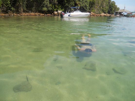 577894_538477596181058_1474205503_n.jpg?psid=1